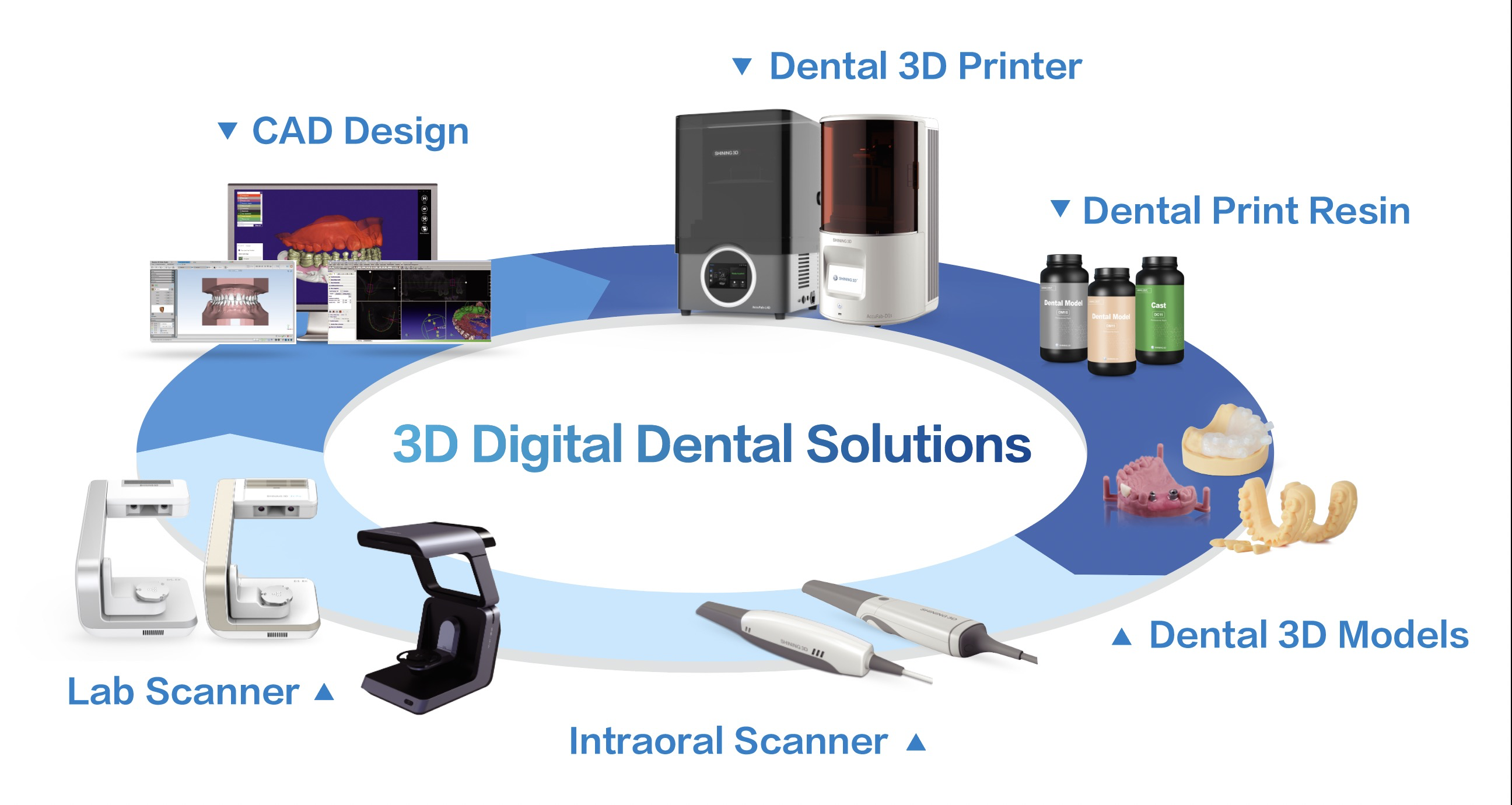 Digital 3D Dental Scanner